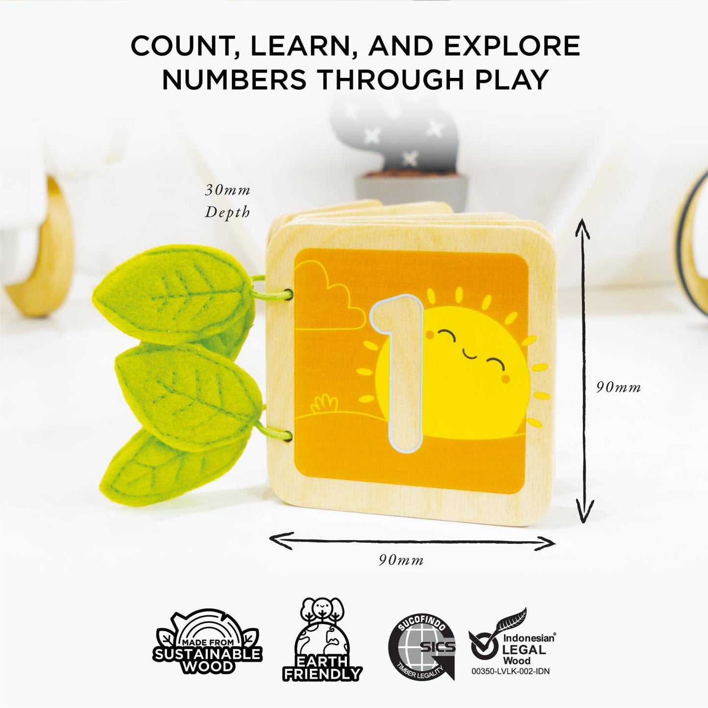 123 Number Counting Book