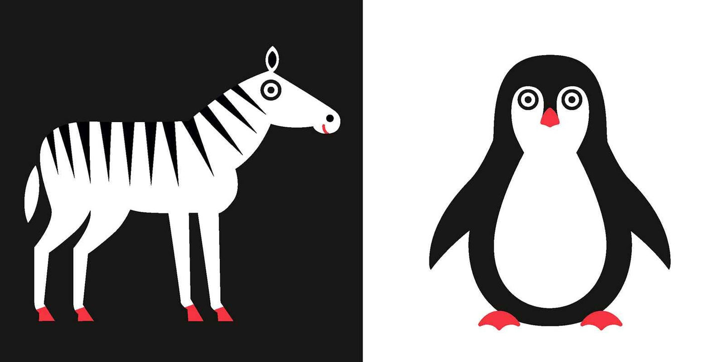 Animals Book