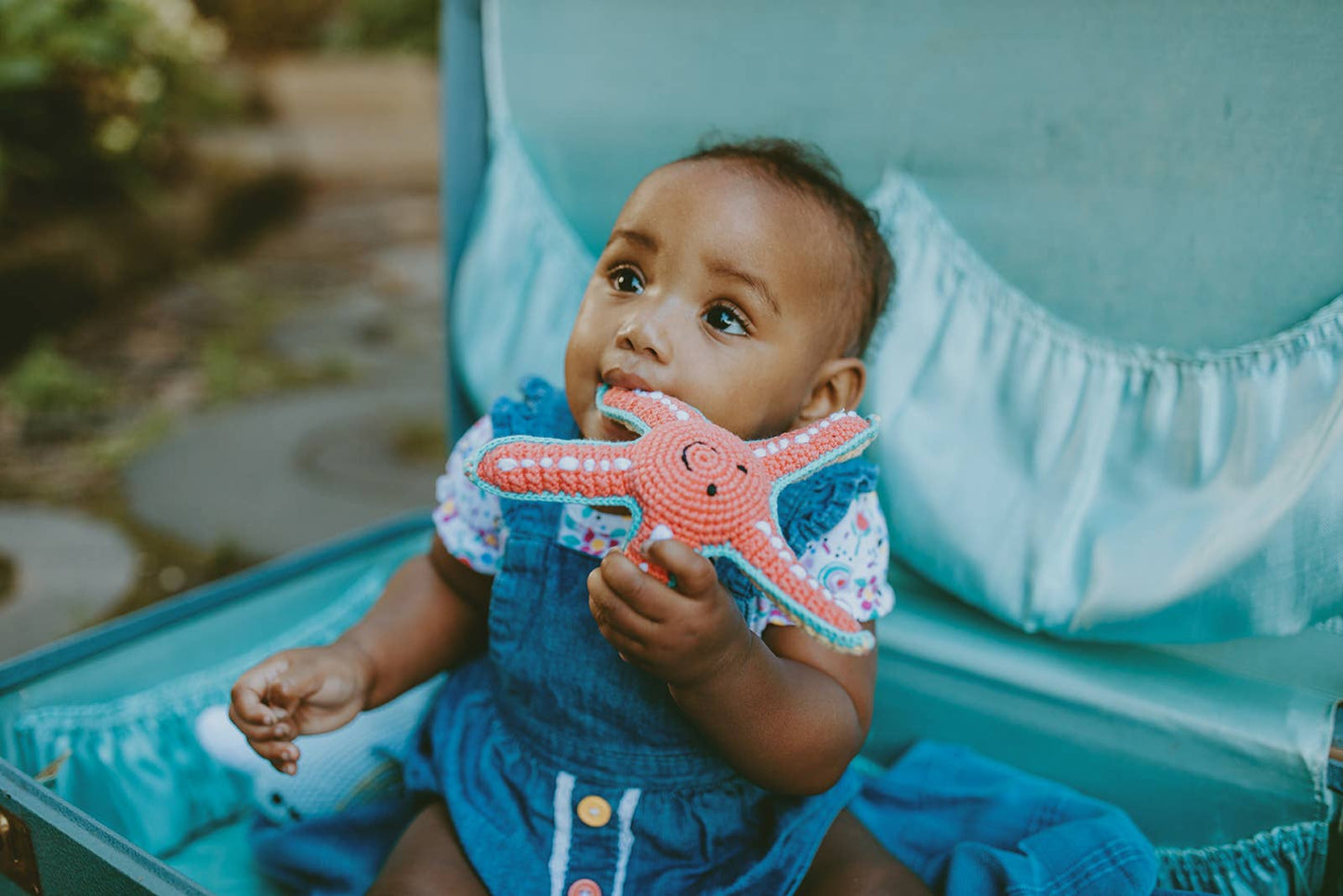 Starfish Rattle