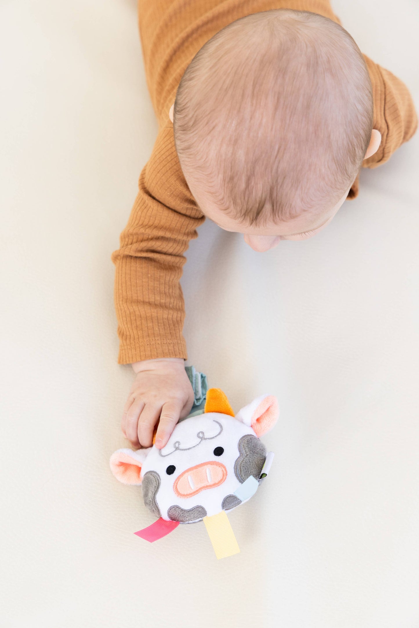 0-6 Months Learning Kit