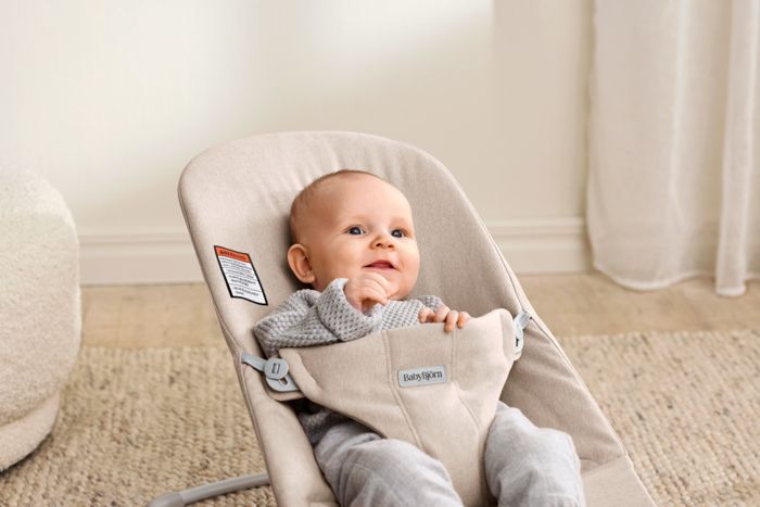 BabyBjorn Bouncer Bliss