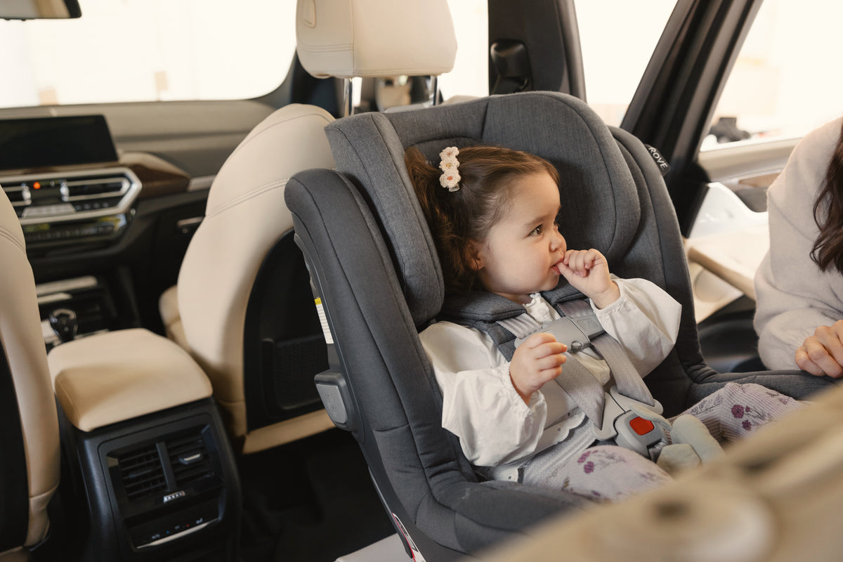 Uppababy Rove Convertible car seat