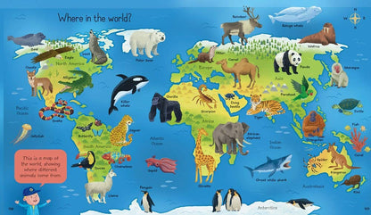 My First Encyclopedia : Usborne