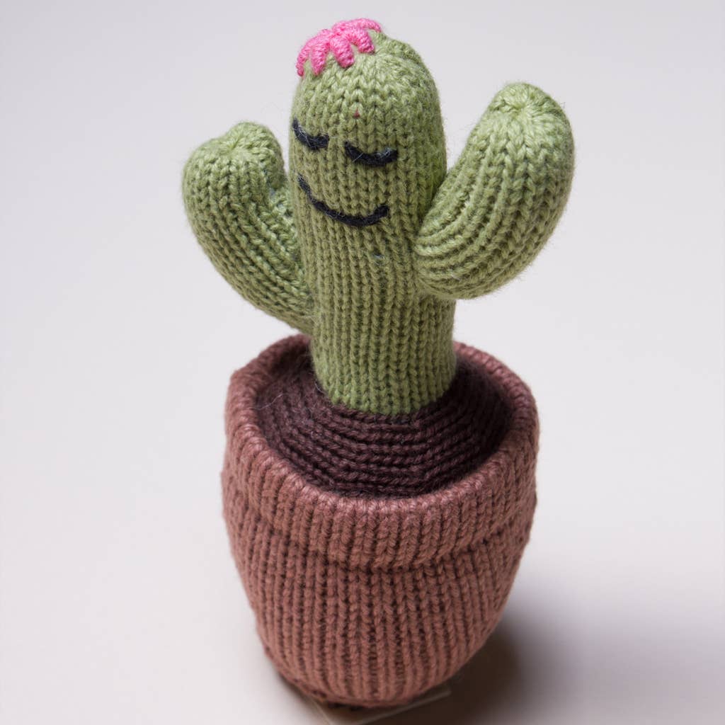 Handmade Cactus Rattle Toy