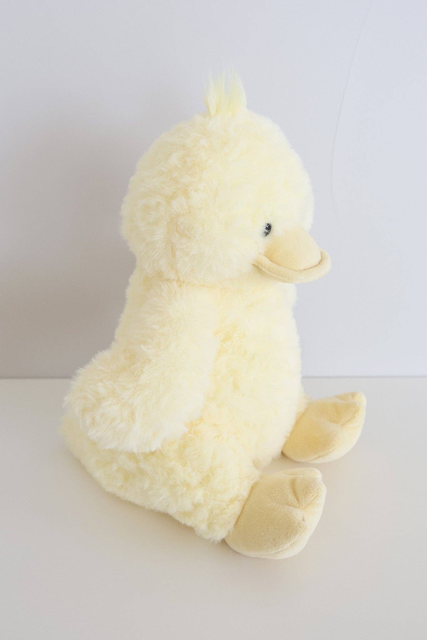 Dilly Duck