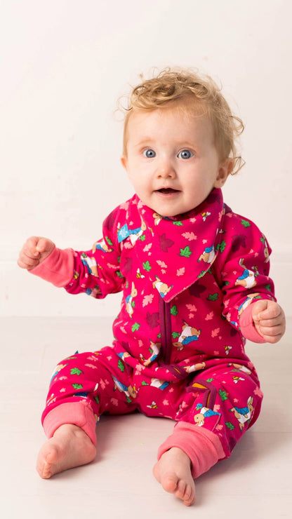 Peter Rabbit Autumn Romper