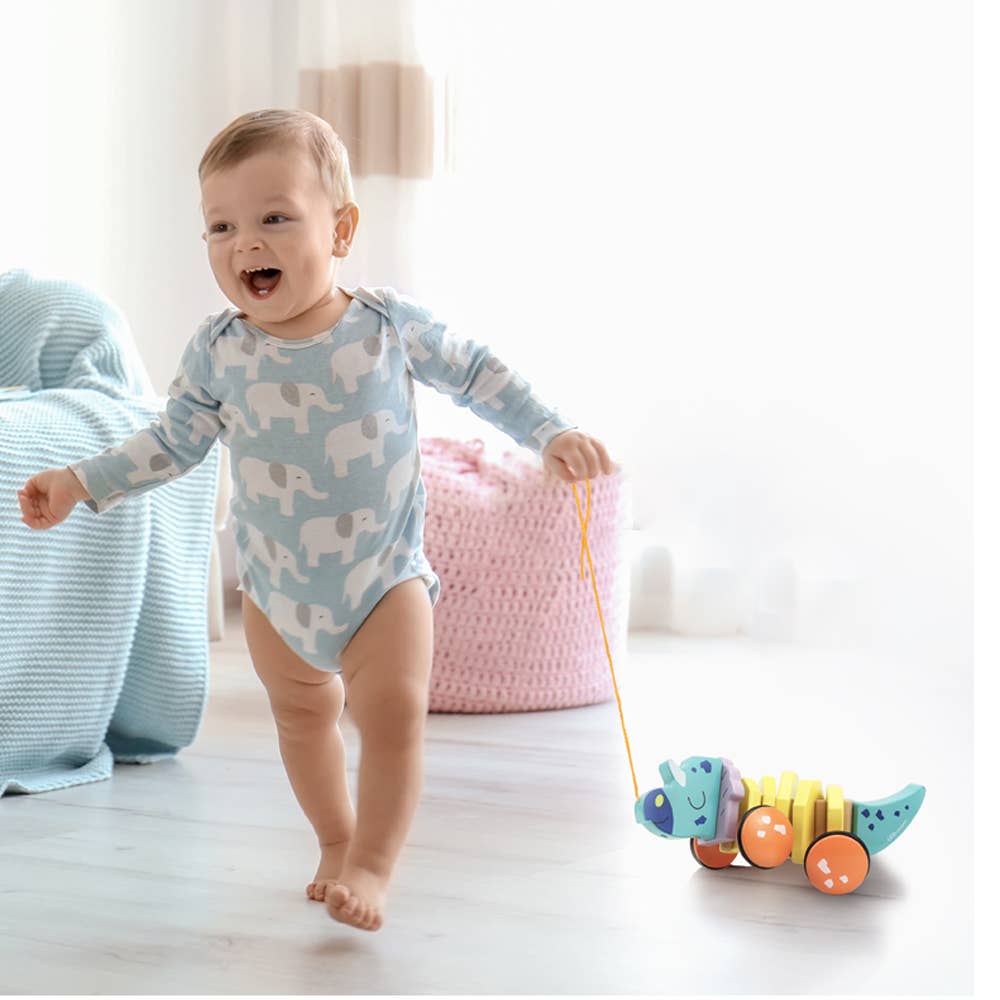Pull Along Wooden Toy