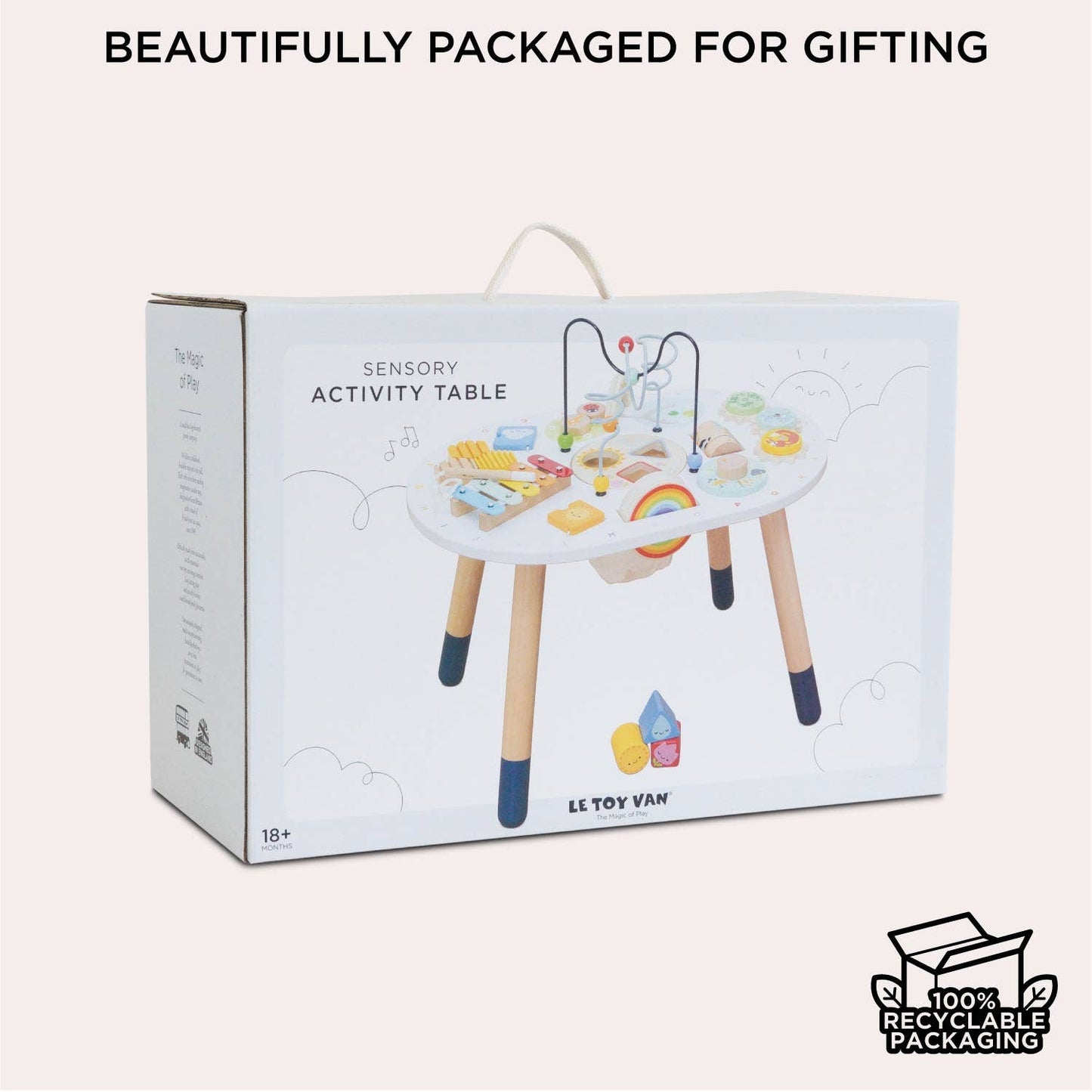 Sensory Activity Table