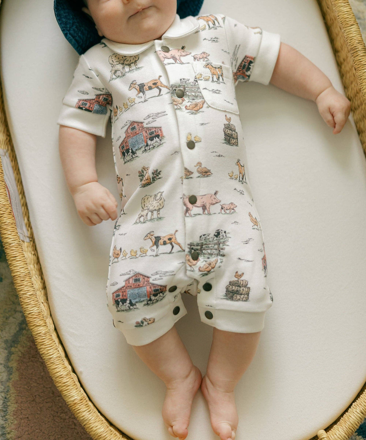 Farm Friends Organic Romper