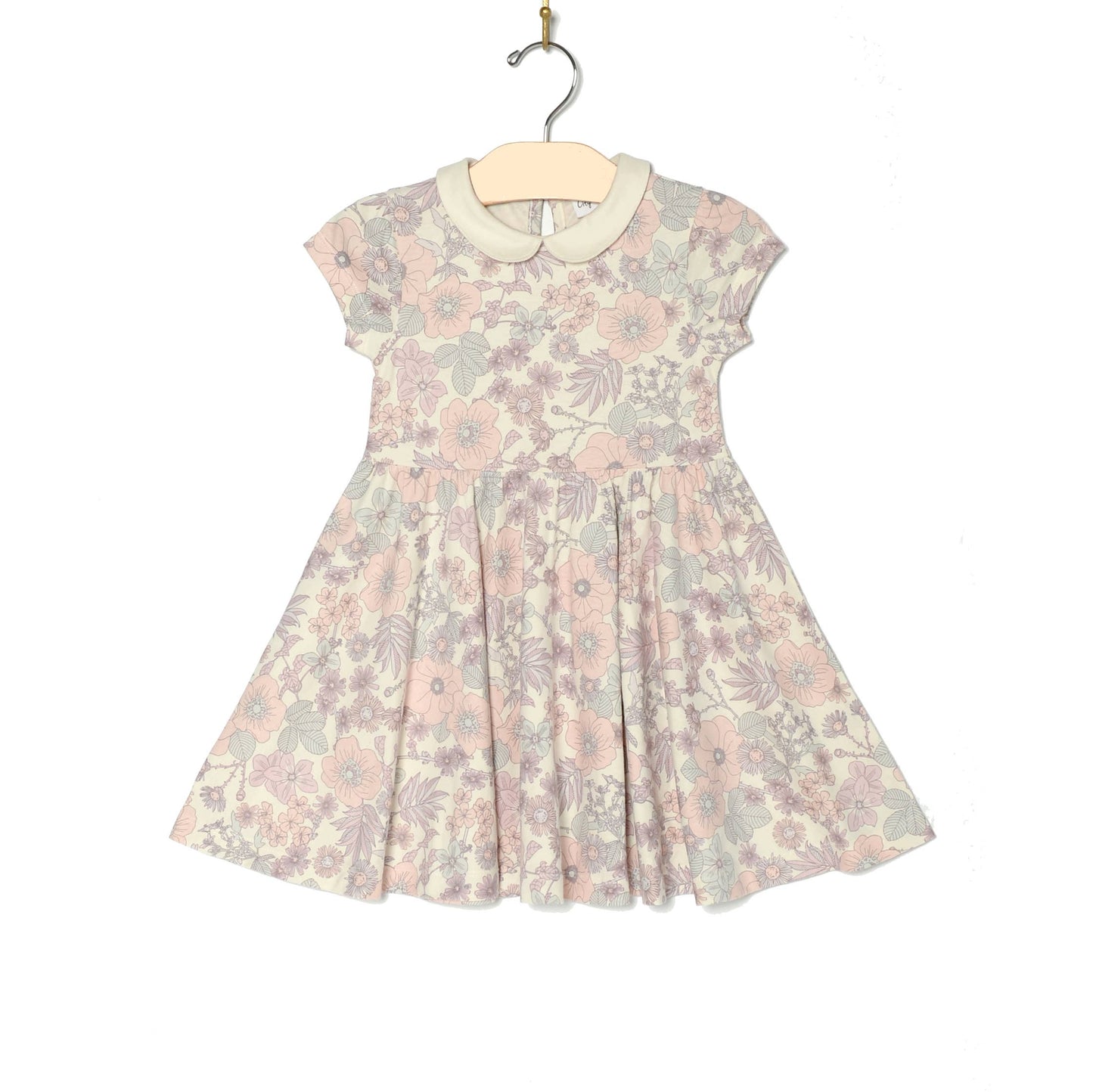 Vintage Floral Collar Twirl Dress