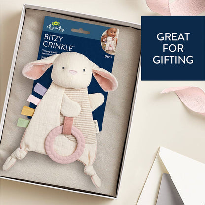 Bitzy Crinkle™ Sensory Toy with Teether