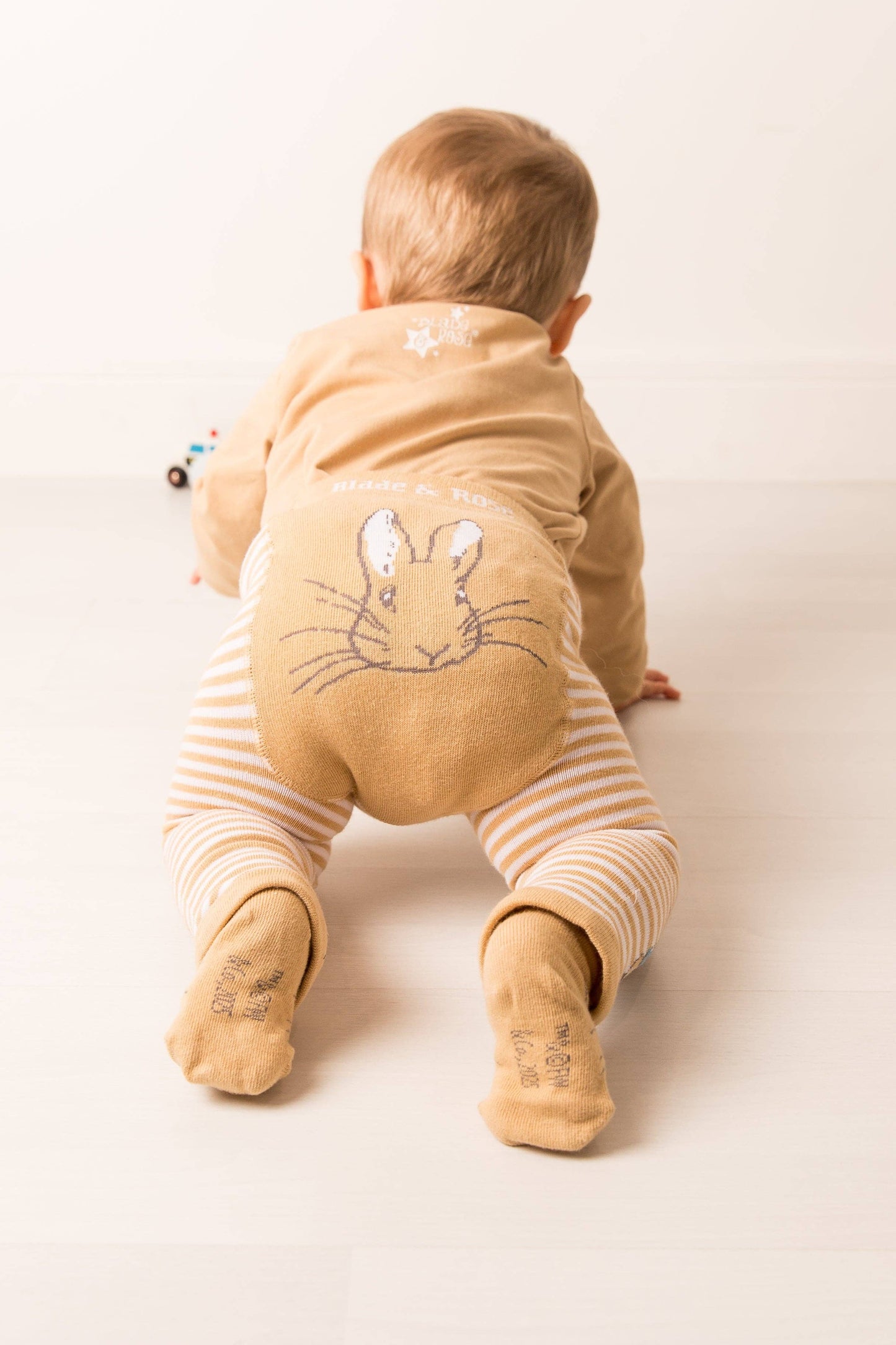 Peter Rabbit Neutral