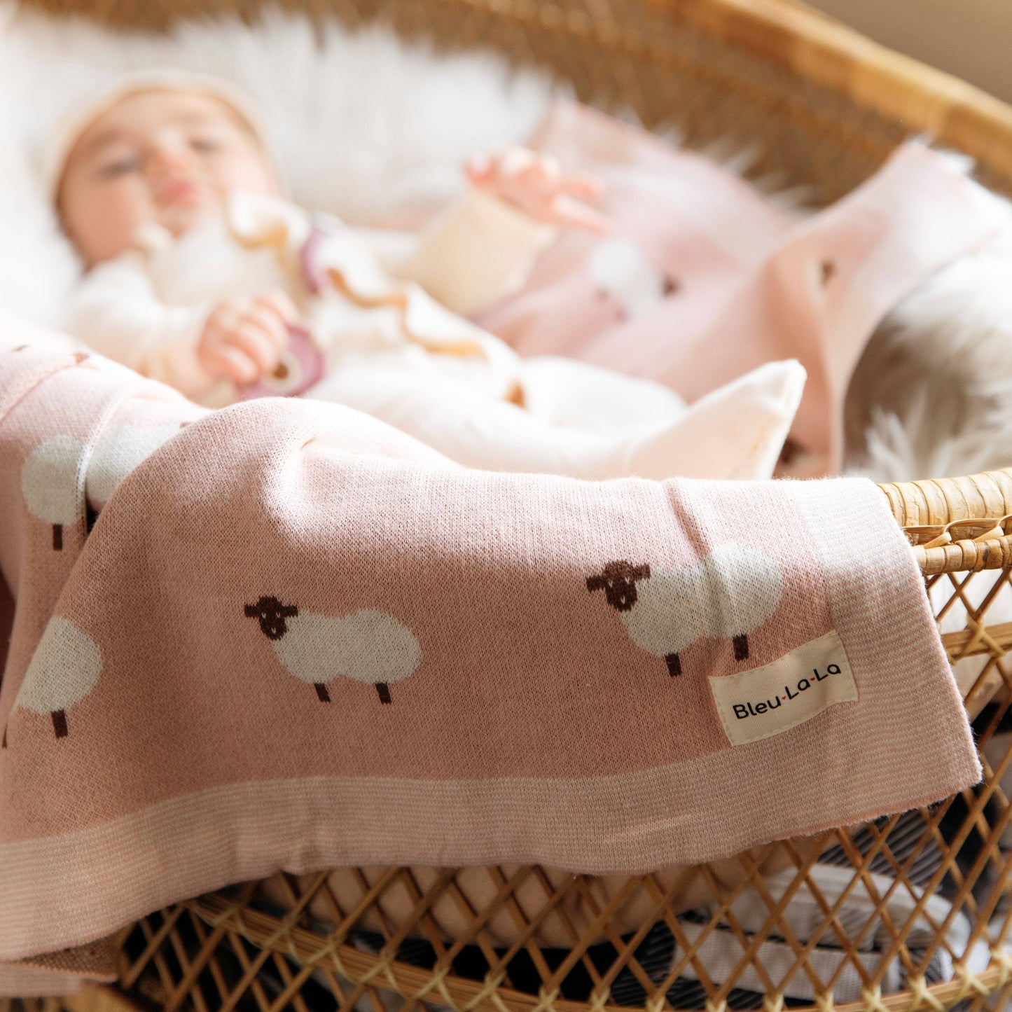 Sheep Baby Blanket