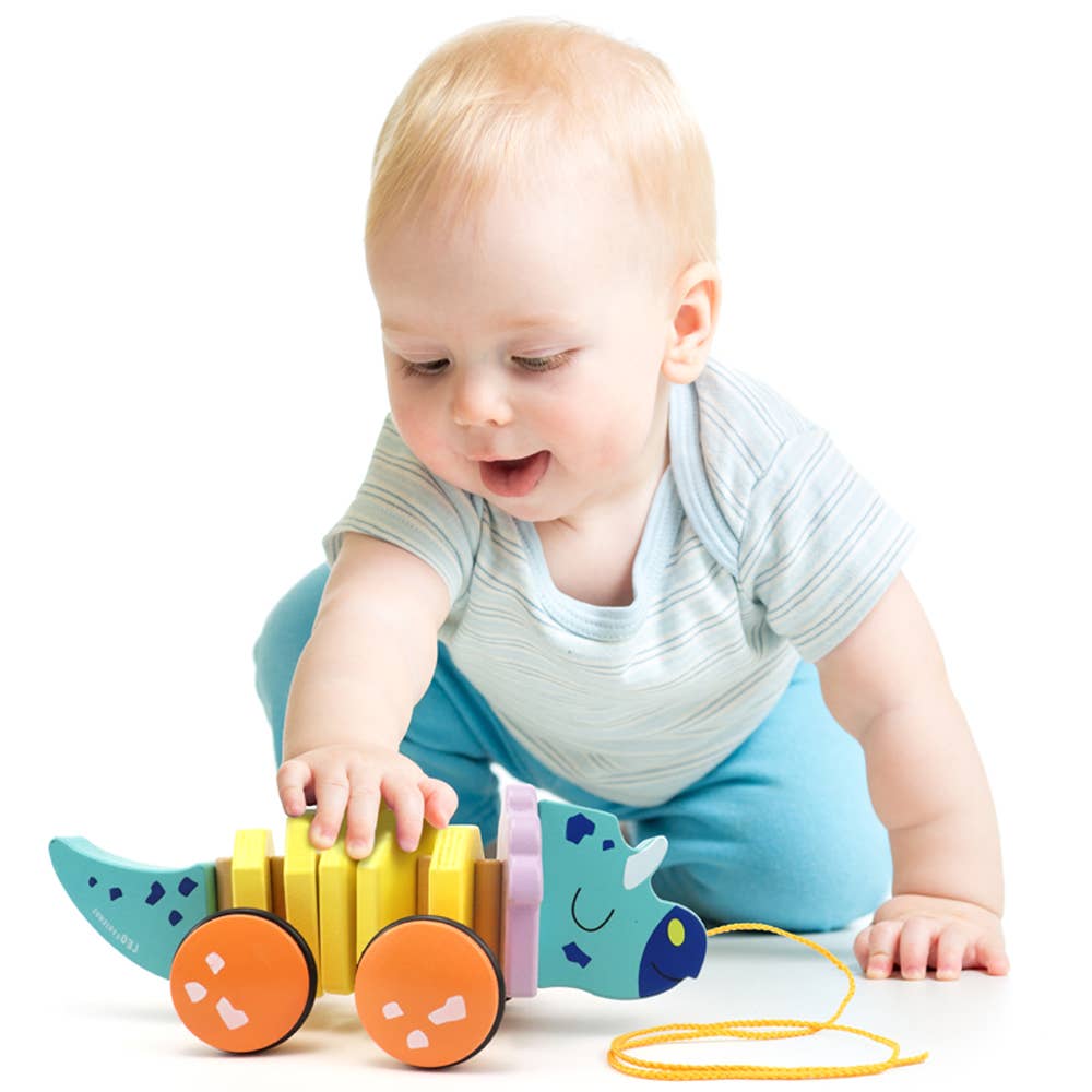 Pull Along Wooden Toy