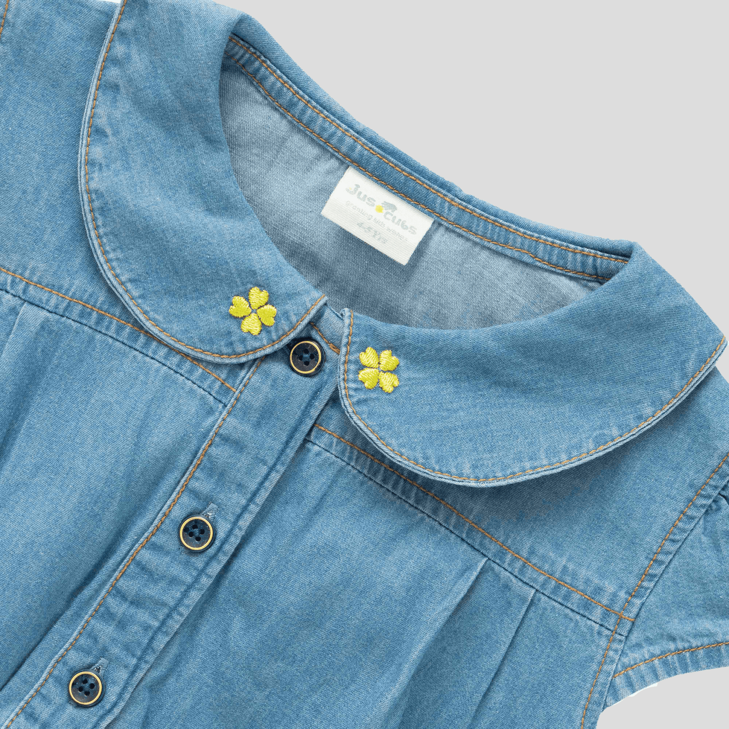Collared Denim Flair Dress