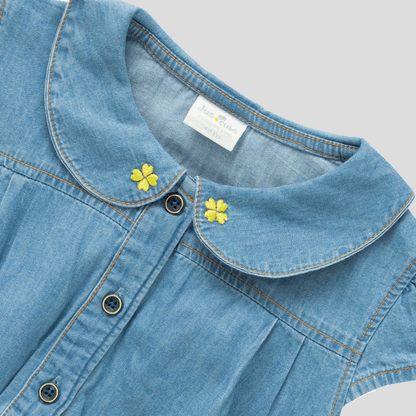 Collared Denim Flair Dress