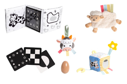 0-6 Months Learning Kit