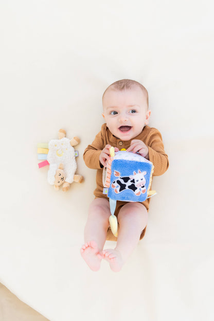 0-6 Months Learning Kit