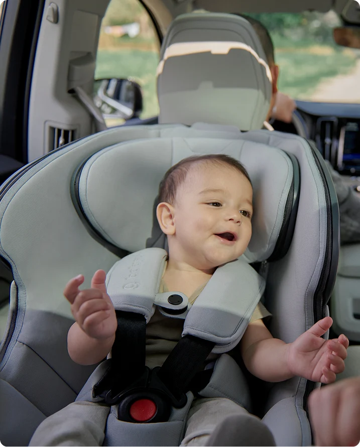 babyark Classic Convertible Car Seat