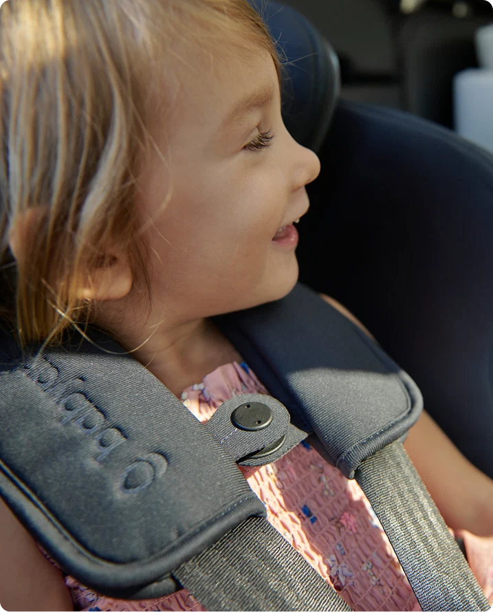 babyark Classic Convertible Car Seat