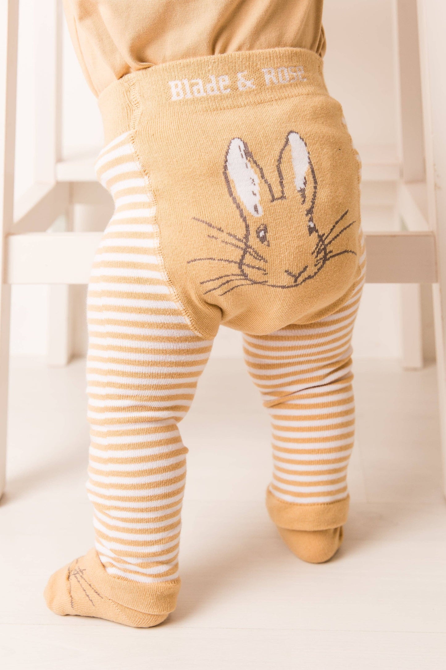Peter Rabbit Neutral