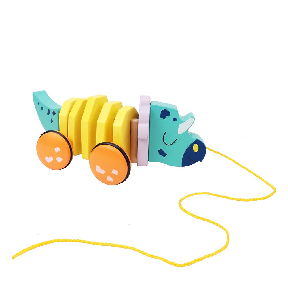 Pull Along Wooden Toy