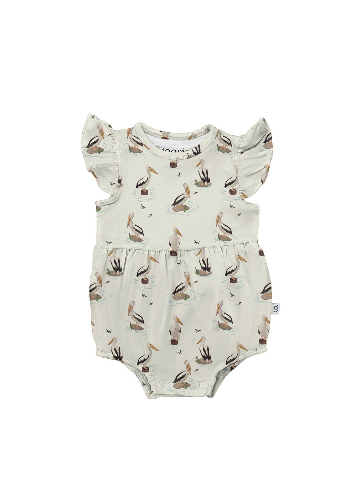 Coastal Pelicans - Flutter Bubble