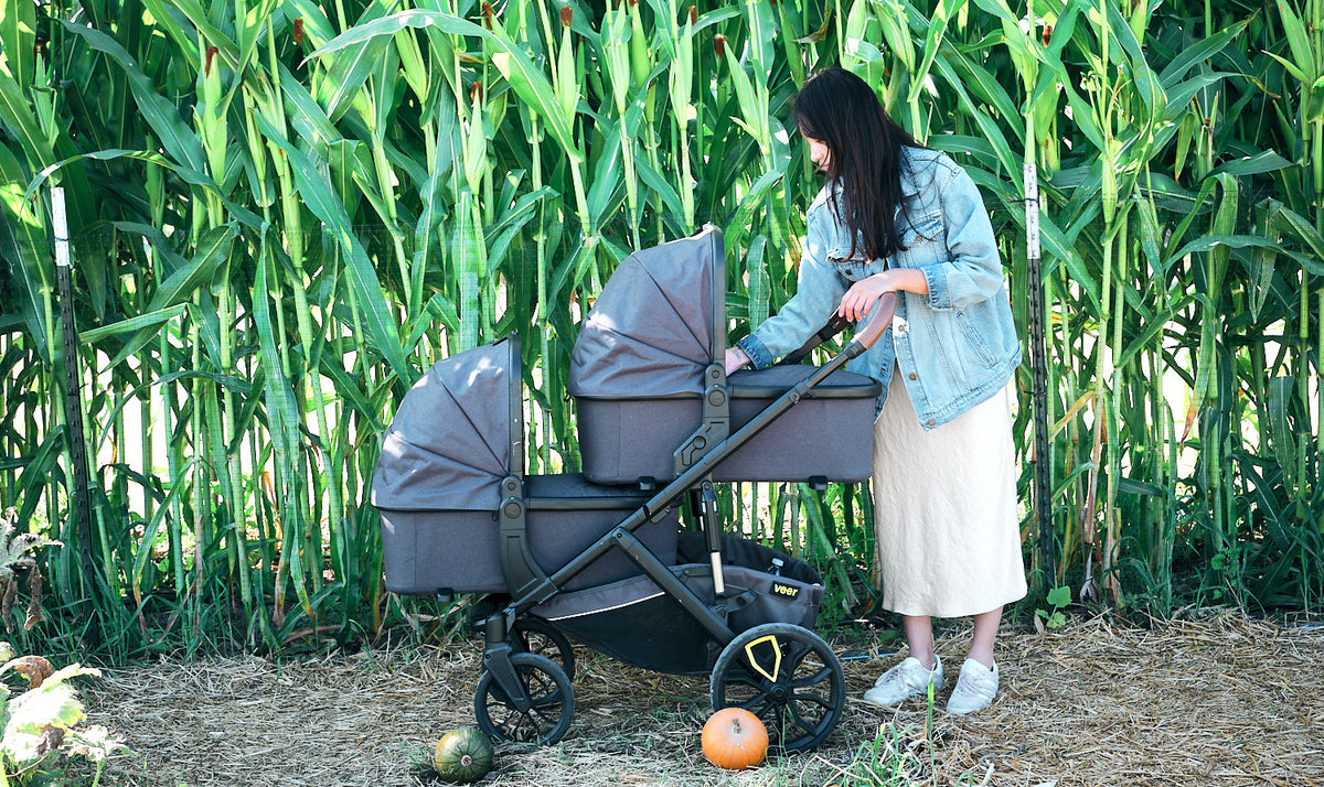 Veer Bassinet
