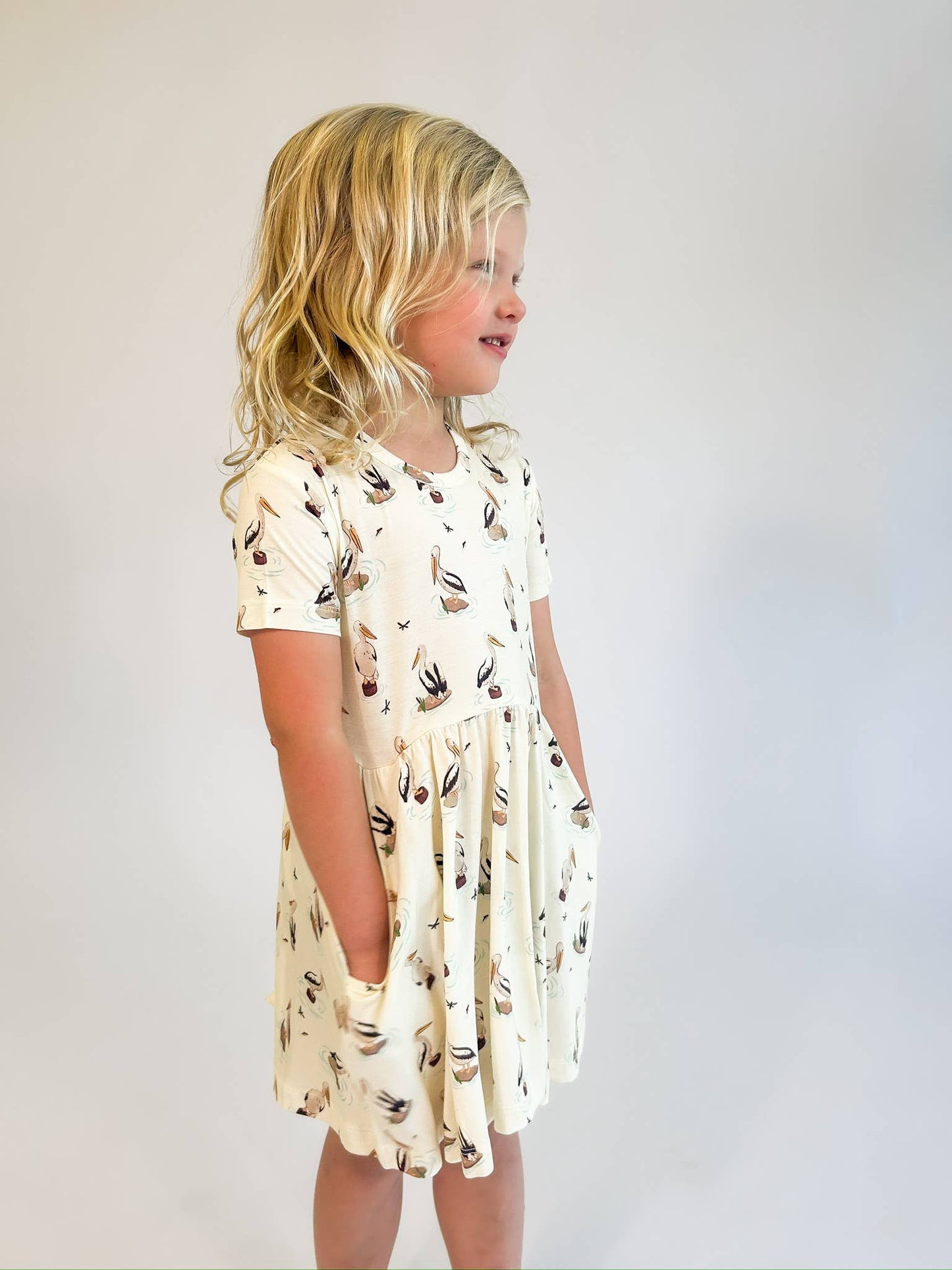 Coastal Pelicans Pocket Dress