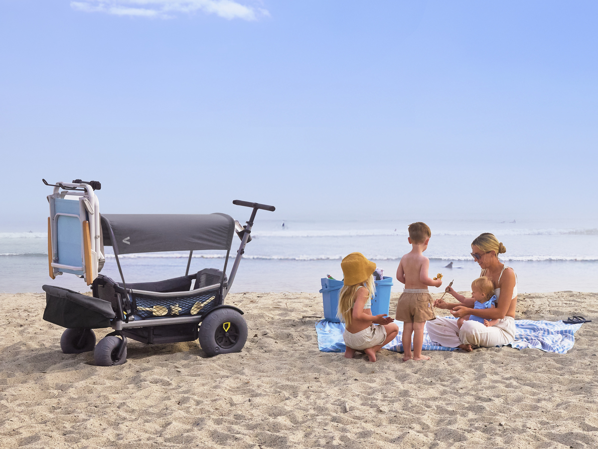 Veer Beach Wheel Kit