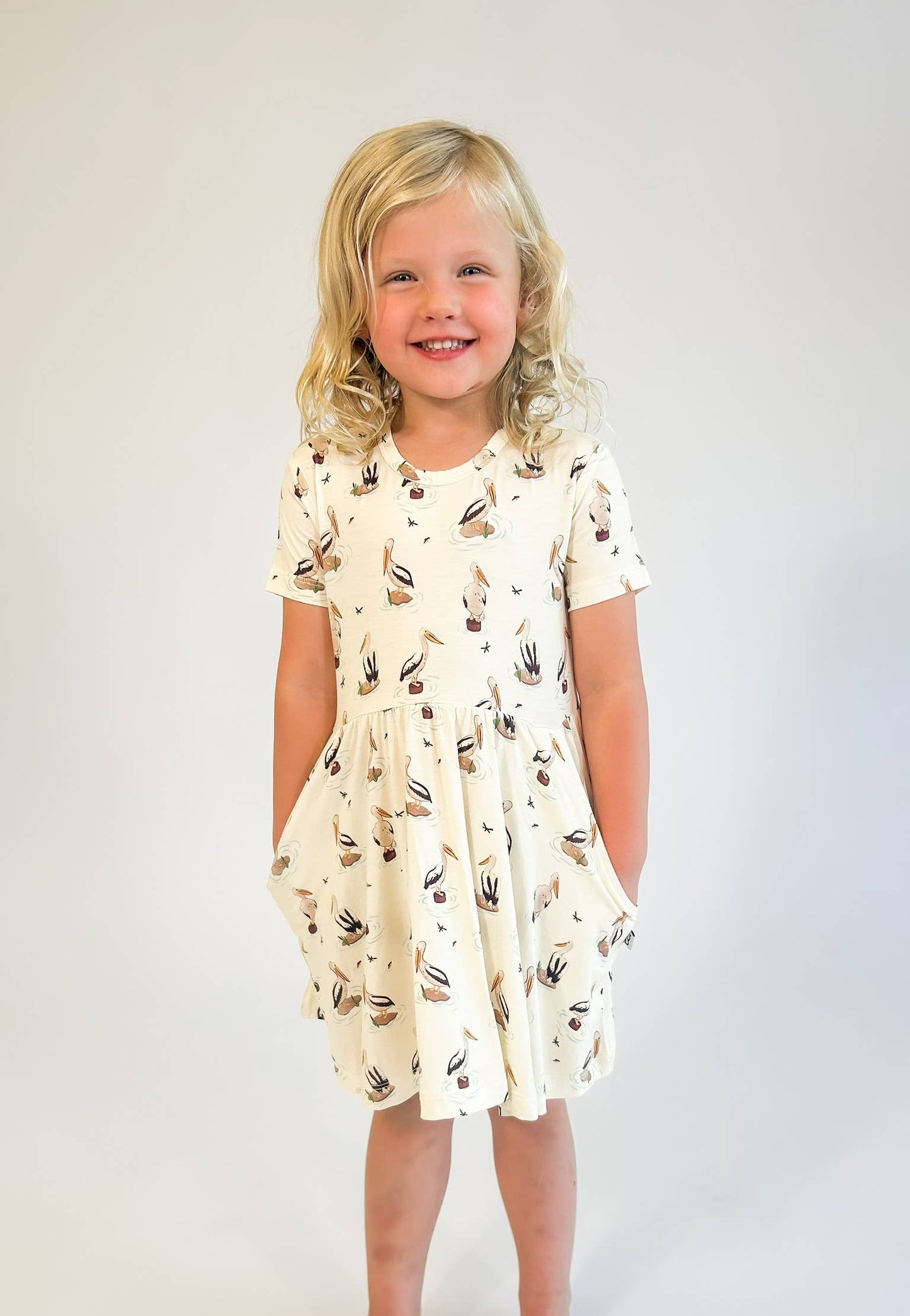 Coastal Pelicans Pocket Dress