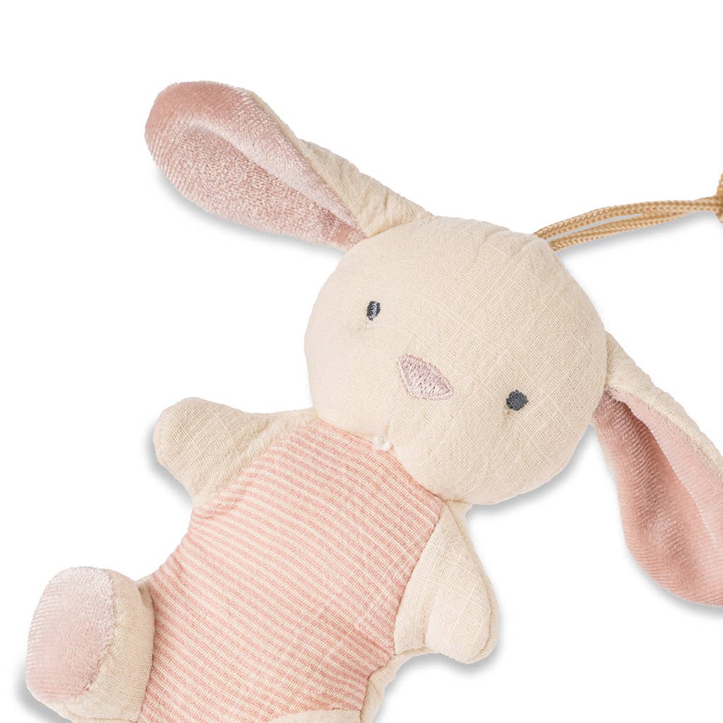 Natural Rubber Pacifier & Plush