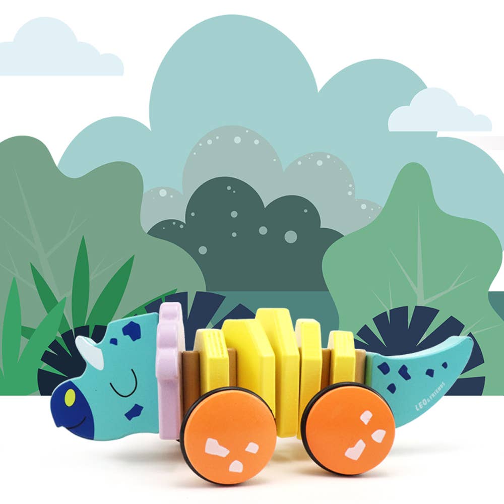 Pull Along Wooden Toy