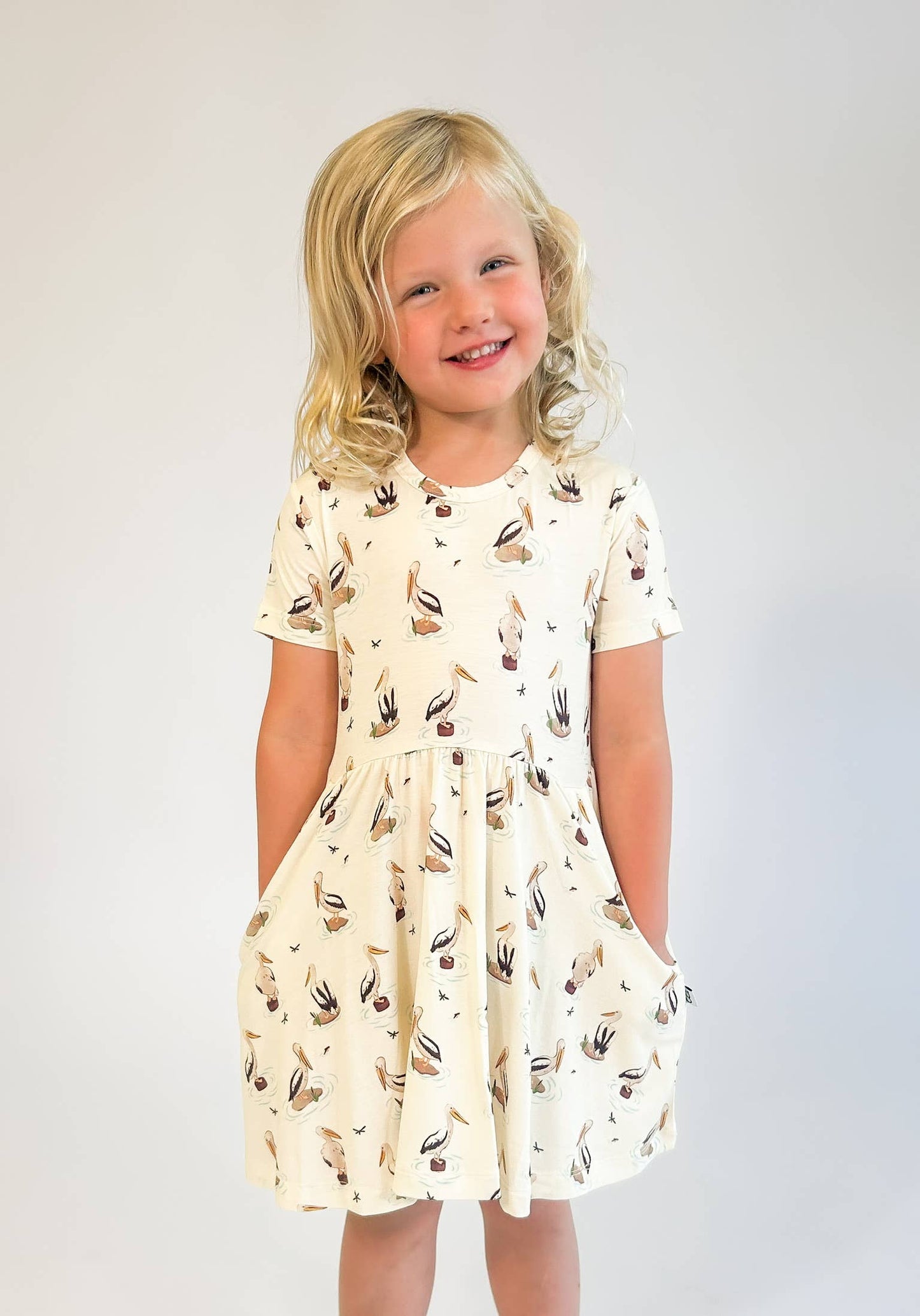 Coastal Pelicans Pocket Dress