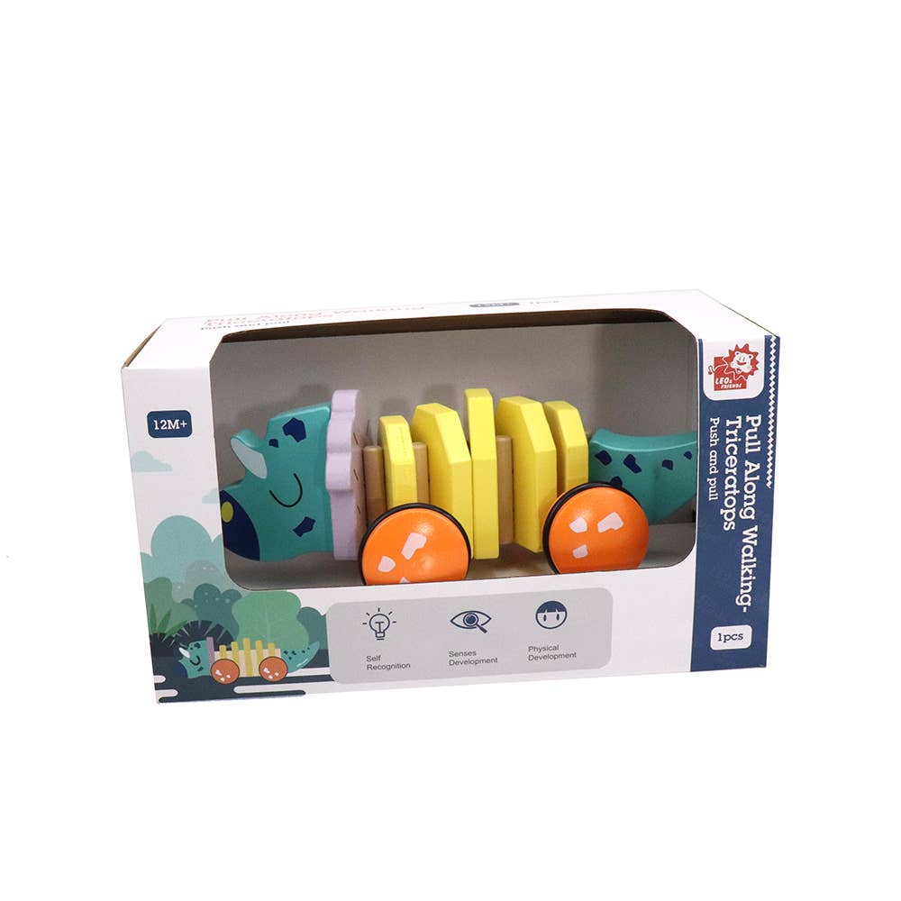 Pull Along Wooden Toy