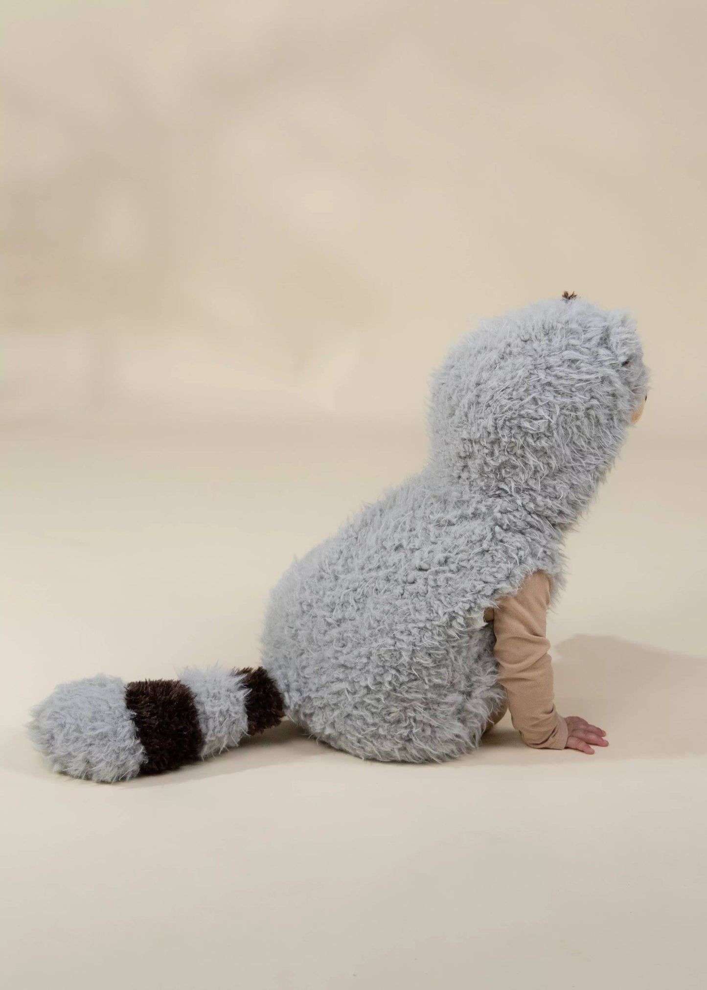 Raccoon Body Costume