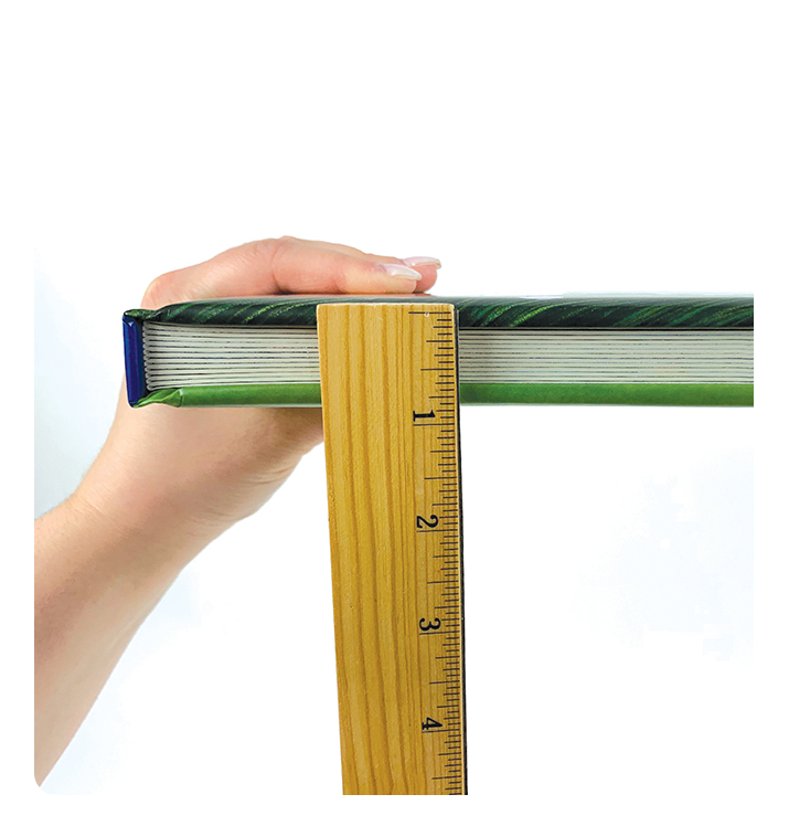 I Love You, Daddy Book